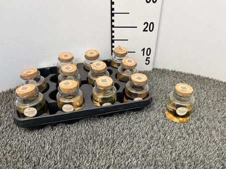 Immagine di COMPOSIZIONE NR.03 MARIMO