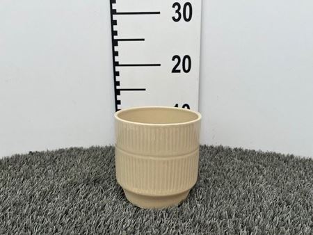 Immagine di CASPO CERAMICA SPARTA ORCH. COL. CREMA ND-611966000141