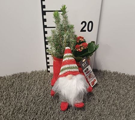 Immagine di COMPOSIZIONE NR.02 GNOMO