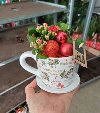 Immagine di COMPOSIZIONE NR.051 NATALIZIA