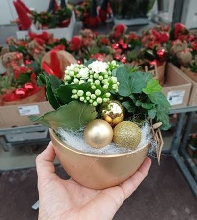 Immagine di COMPOSIZIONE NR.053 NATALIZIA