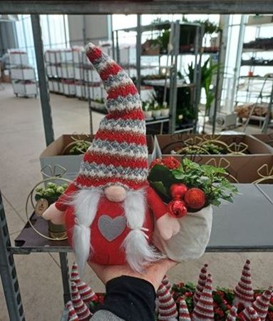 Immagine di COMPOSIZIONE NR.054 NATALIZIA