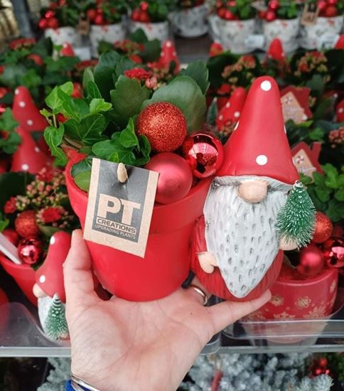 Immagine di COMPOSIZIONE NR.061 NATALIZIA