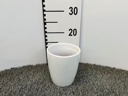 Immagine di CASPO' ORCH COL BIANCO DIA13*15H VB-51112W