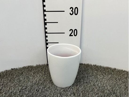 Immagine di CASPO' ORCH COL BIANCO DIA13*15H VB-51112W