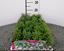 Immagine di LOBELIA PACK 4 PIANTE